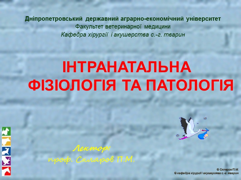 © Скляров П.М.  © кафедра хірургії і акушерства с.-г. тварин Лектор:  проф.